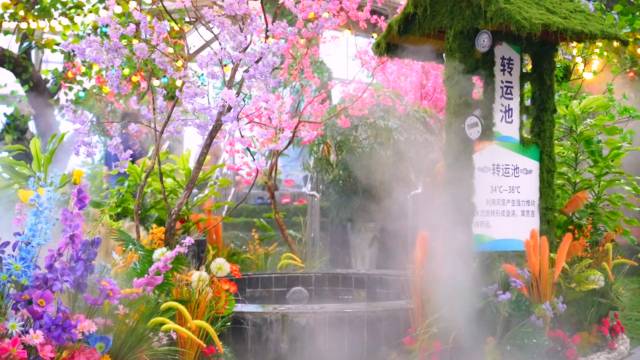 保定兴芮假日酒店图片