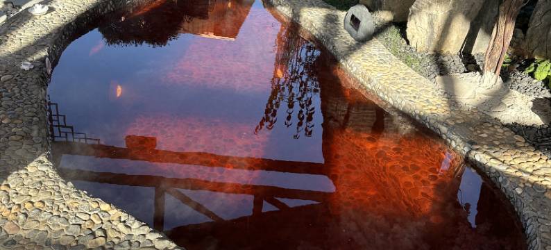 南天湖麓隐·野奢温泉酒店图片