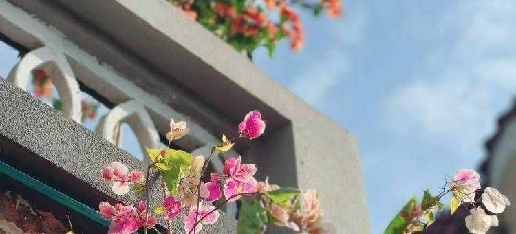 愈见宿集·旗溪图片