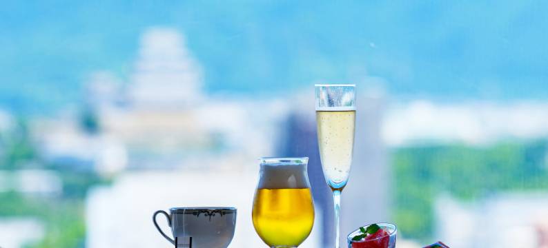 姬路日航酒店(Hotel Nikko Himeji)图片