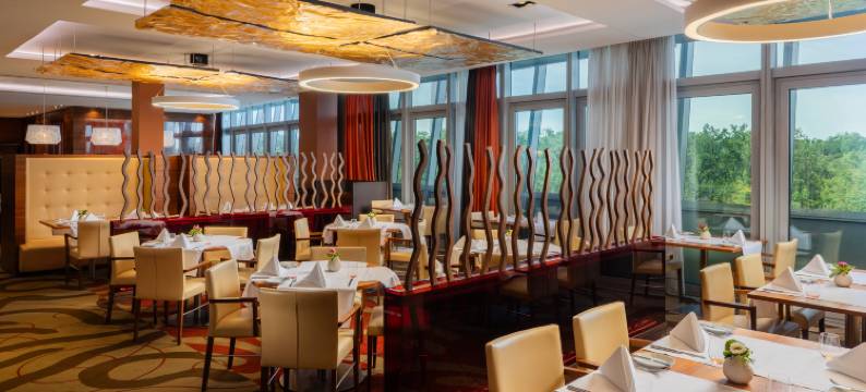 希尔顿法兰克福机场酒店(Hilton Frankfurt Airport)图片