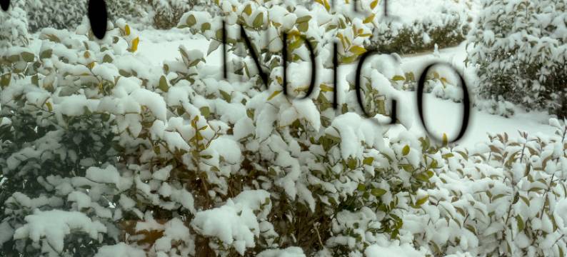 烟台金沙滩英迪格酒店图片