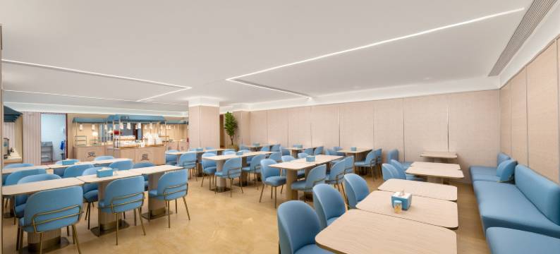 巴马寿乡国际大酒店(寿乡文化广场店)图片