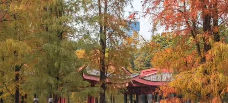 花沐禧国际酒店(佛山南海千灯湖店)图片