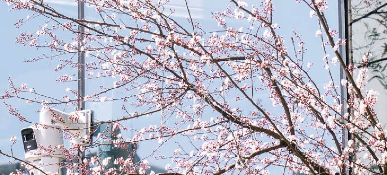 黄山昱城皇冠假日酒店图片