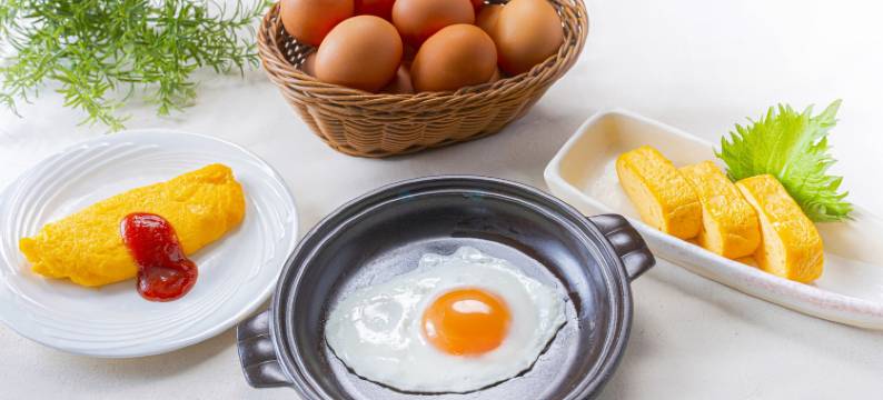 本町大阪景观酒店(Osaka View Hotel Honmachi)图片