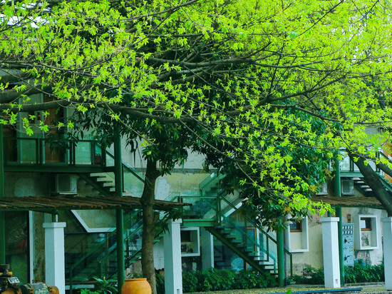 广州喜临院(上滘船厂店)