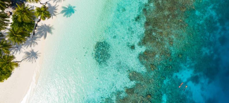 马尔代夫美憬阁米里希V别墅(V Villas Maldives at Mirihi - MGallery Collection)图片