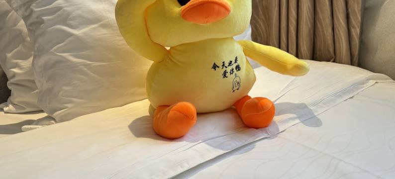 铂程酒店(郑州未来路博览中心地铁站店)图片