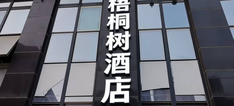 梧桐树(保定东站河大新区店)图片