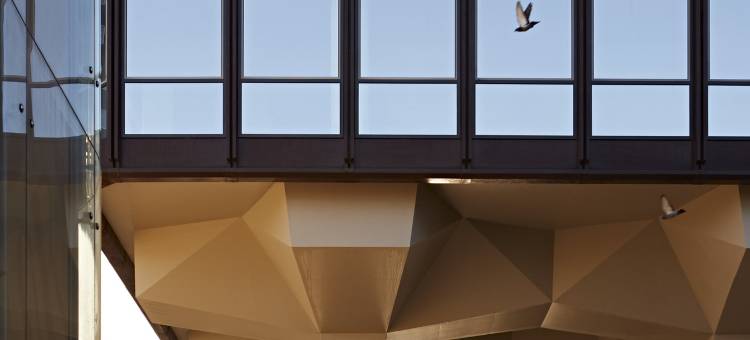 鹿马鹿特丹库尔辛格尔(Numa Rotterdam Coolsingel)图片