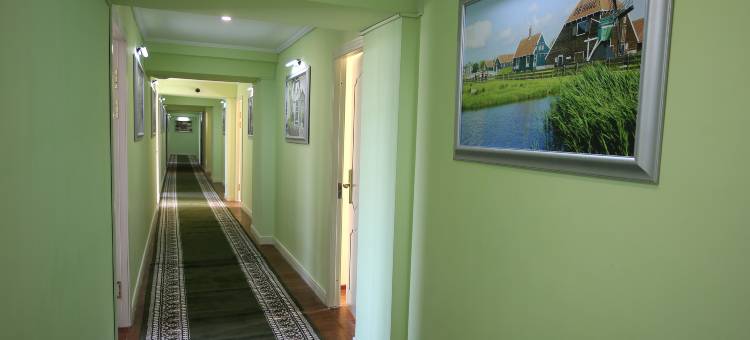 艾尔泰商务酒店(Altai Business Hotel)图片