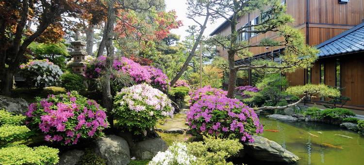 芦原温泉 日式旅馆「灰屋」(Haiya The traditions of warm and friendly hospitality)图片