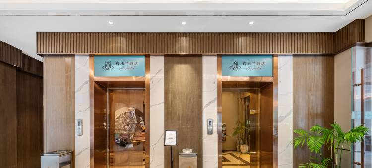 白玉兰酒店(武汉高铁站东广场店)图片