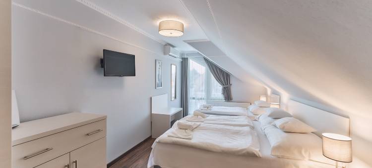 托卡耶尔康体酒店(Tokajer Wellness Hotel)图片