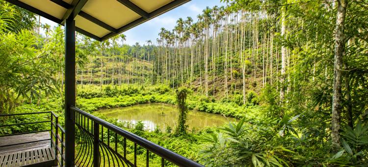 甘露荟·多米尼克瓦亚纳德自然生态度假与水疗中心(Amritara Dominic's Nature Retreat & Spa Wayanad)图片