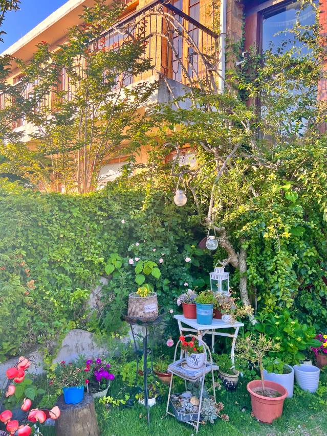 温岭尧珈·星罗海野曙光民宿图片