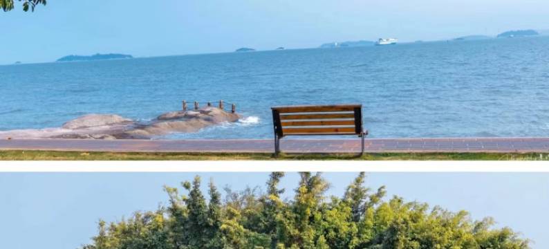 厦门见野.海景民宿图片