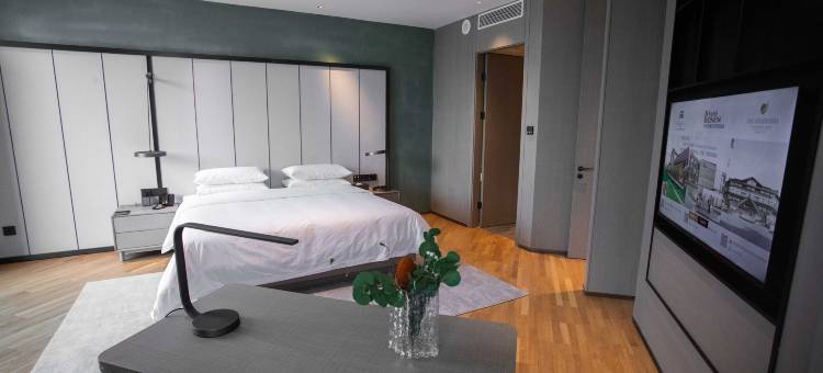 忻州云栖开元荣景酒店图片