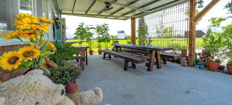 宜兰猫天空宠物乡村民宿图片