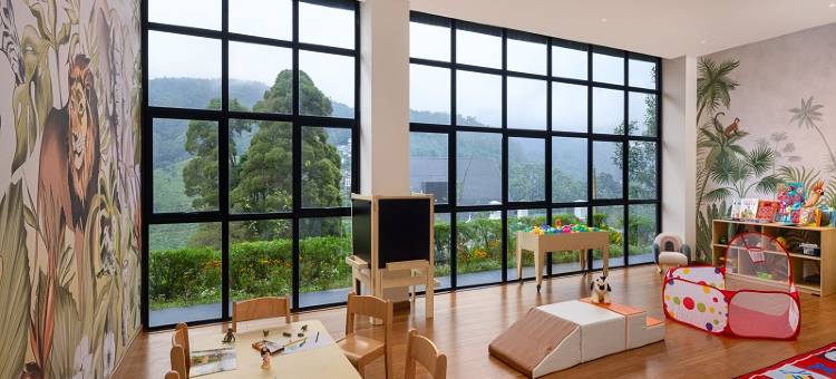 金岭酒店(The Golden Ridge Hotel)图片