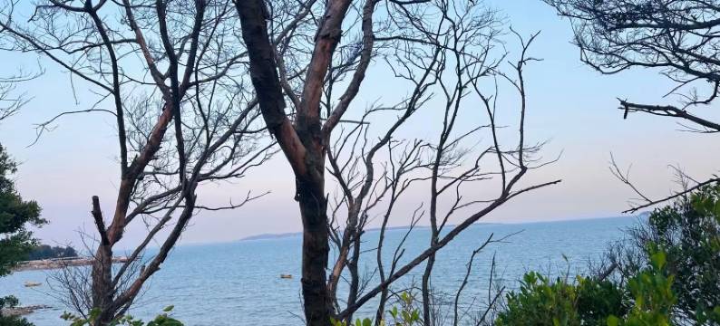 厦门溪墅海景别墅(环岛路黄厝沙滩店)图片