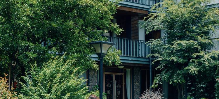 莫干山开臣璞居竹海温泉美宿图片