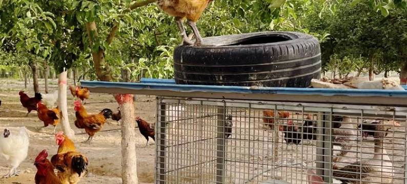 亦浓酒庄民宿图片