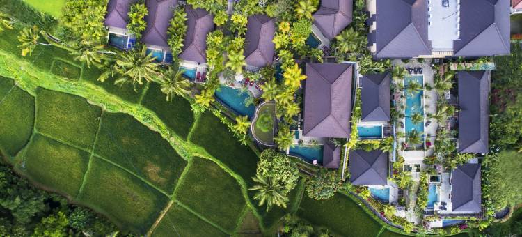 德瓦拉皇家别墅(Dwaraka the Royal Villas)图片