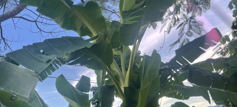 临云欢朋·美宿酒店图片