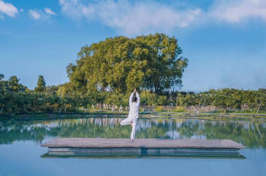 乌镇乌村酒店图片