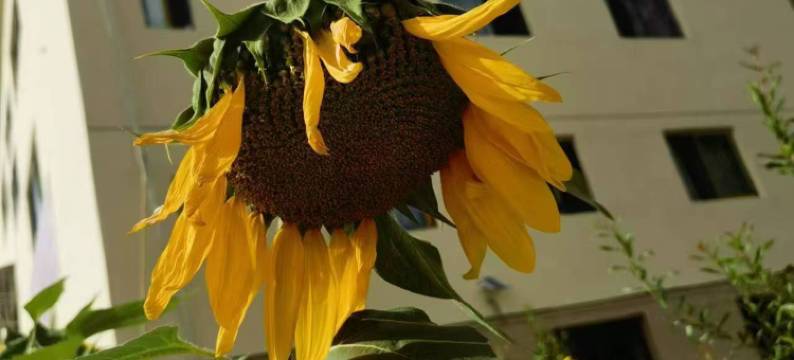 雄鹰避暑农庄图片