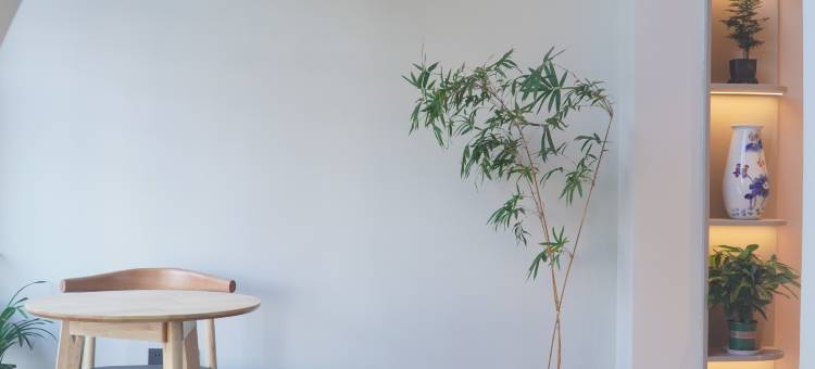 千瓷民宿(中国陶瓷博物馆店)图片