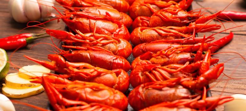 嘉爵酒店(深圳蛇口东角头地铁站店)图片