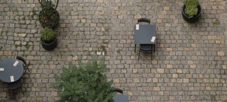 威尔米娜套房(Wilmina Apartments & Lofts)图片