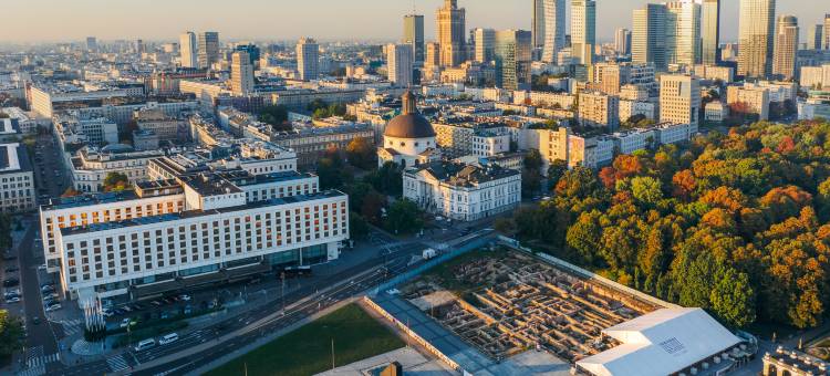 华沙维多利亚索菲特酒店(Sofitel Warsaw Victoria)图片