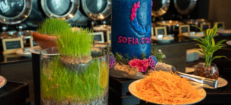 索菲亚科伦坡城市酒店(Sofia Colombo City Hotel)图片