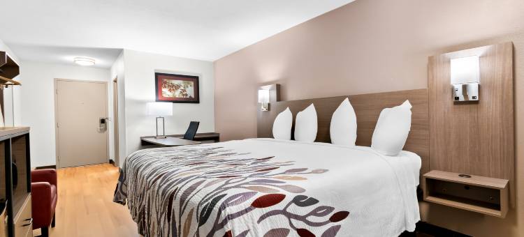 哈里斯堡北红屋顶酒店(Red Roof Inn Harrisburg North)图片