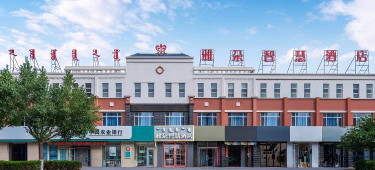 雅朵智慧酒店(乌拉特后旗店)图片