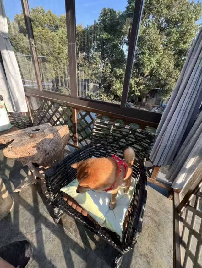 花筑·同里寒瑟山房河景酒店图片