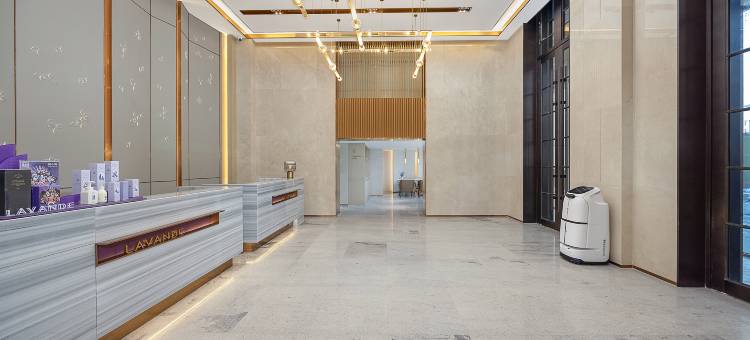 麗枫酒店(哈西站黑龙江大学地铁站店)图片