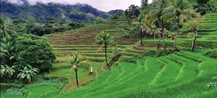 红多兹酒店@黄金旅客传统旅馆(RedDoorz @ Golden Travellers Inn Antique)图片