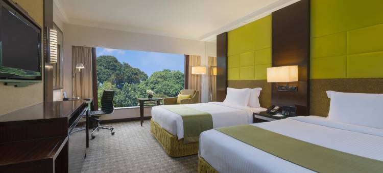 新加坡乌节市中心假日酒店 - IHG 旗下酒店(Holiday Inn Singapore Orchard City Centre)图片