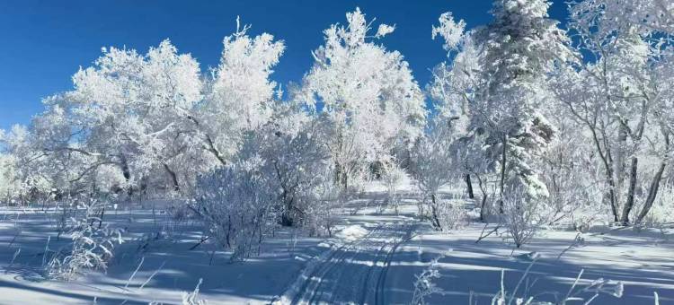 雪谷君宝来客栈(中国雪谷风景区店)图片
