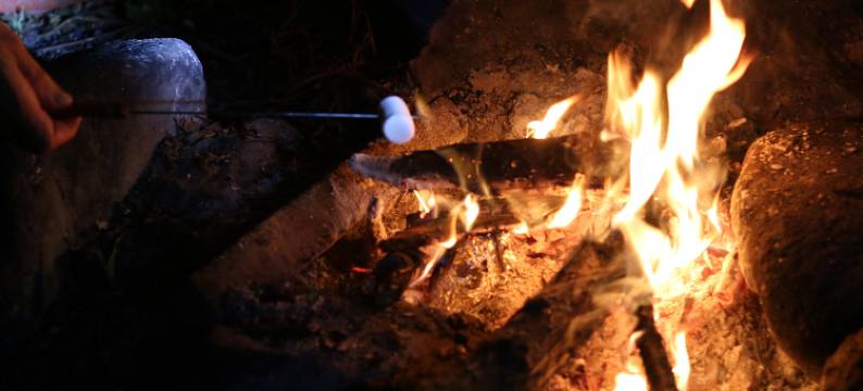 阿索毕歌科罗宾馆(Asobi Gokoro)图片