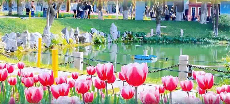 锐思特逸致酒店(温州西山店)图片