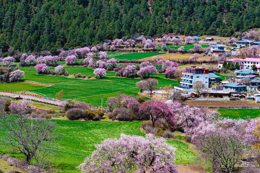 述野・非遺隱世山居