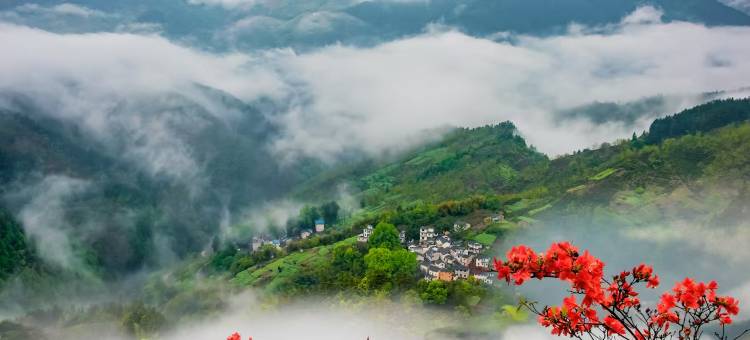 歙县凤凰山庄图片
