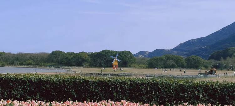 舟山丨绿悦海景度假酒店(朱家尖东沙度假村店)图片