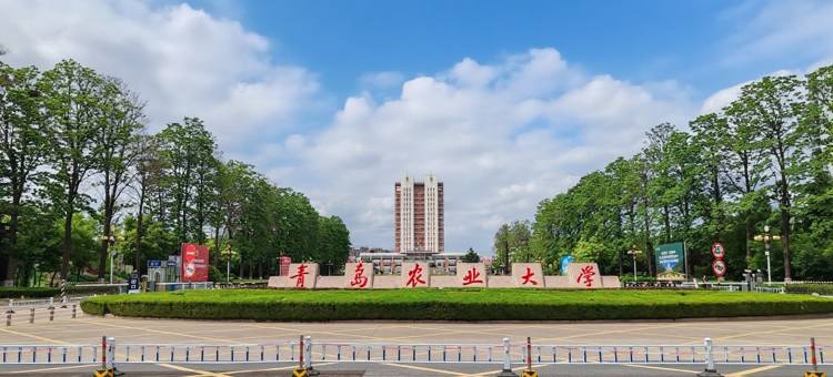 轻住酒店(青岛城阳区农业大学地铁站店)图片